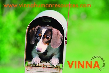 Dog in Mailbox